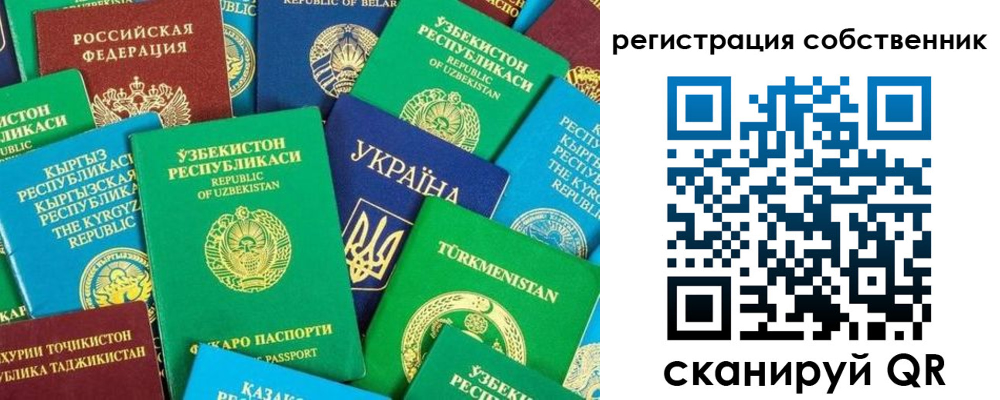 прописка в Сосновке